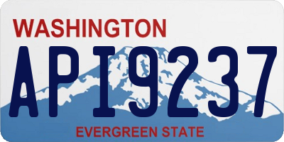 WA license plate API9237