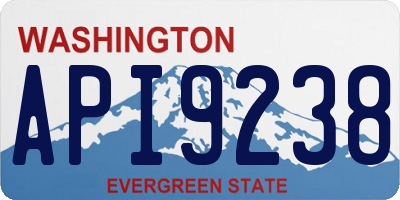 WA license plate API9238
