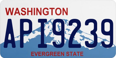 WA license plate API9239