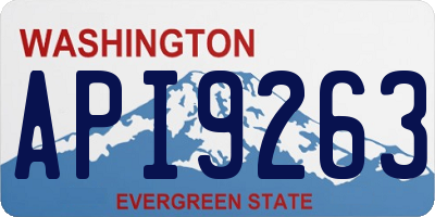 WA license plate API9263