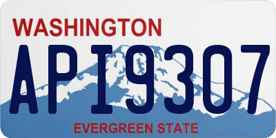 WA license plate API9307