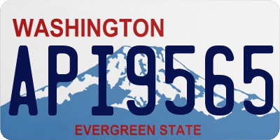 WA license plate API9565
