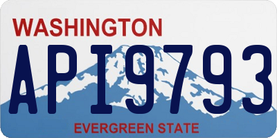 WA license plate API9793