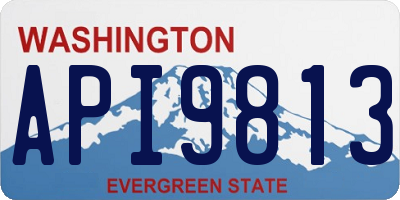 WA license plate API9813