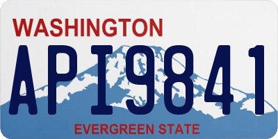 WA license plate API9841