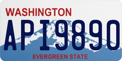 WA license plate API9890