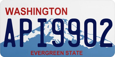 WA license plate API9902