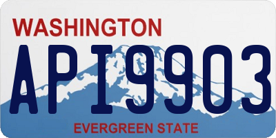 WA license plate API9903