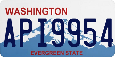 WA license plate API9954