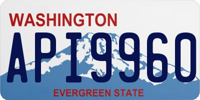 WA license plate API9960