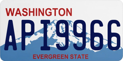 WA license plate API9966