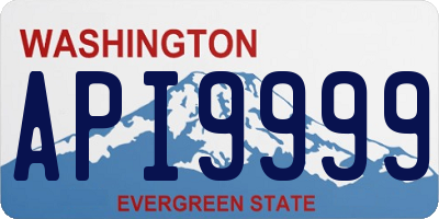 WA license plate API9999