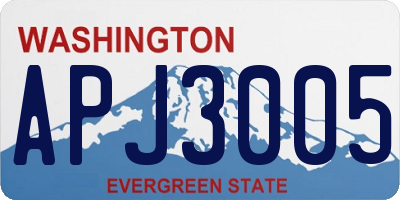 WA license plate APJ3005