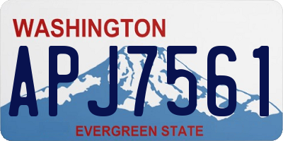 WA license plate APJ7561