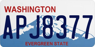 WA license plate APJ8377