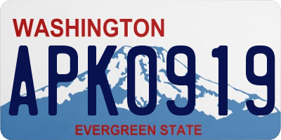 WA license plate APK0919