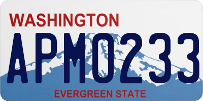 WA license plate APM0233