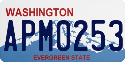 WA license plate APM0253