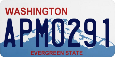 WA license plate APM0291