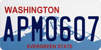 WA license plate APM0607