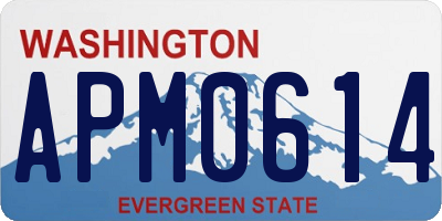 WA license plate APM0614