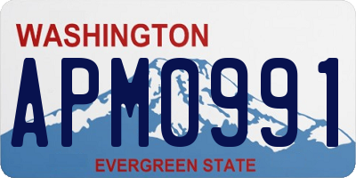 WA license plate APM0991