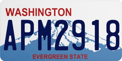 WA license plate APM2918