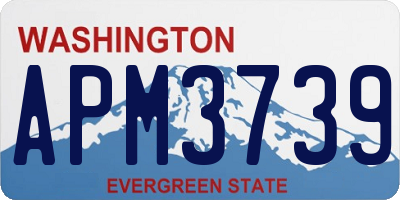 WA license plate APM3739