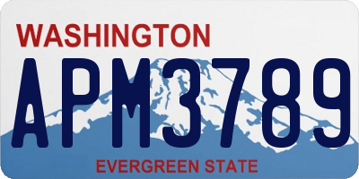 WA license plate APM3789