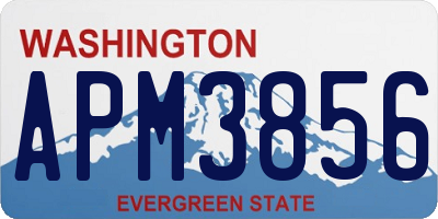 WA license plate APM3856