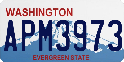 WA license plate APM3973