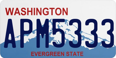 WA license plate APM5333