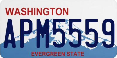 WA license plate APM5559