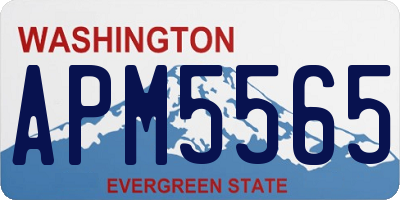 WA license plate APM5565