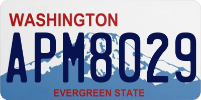 WA license plate APM8029