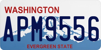 WA license plate APM9556