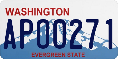 WA license plate APO0271