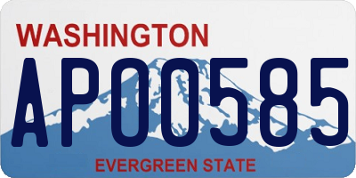 WA license plate APO0585