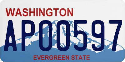 WA license plate APO0597