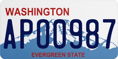 WA license plate APO0987