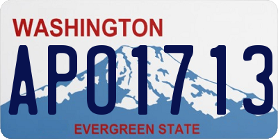 WA license plate APO1713