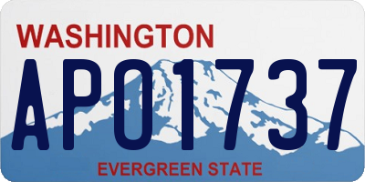 WA license plate APO1737