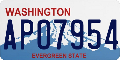 WA license plate APO7954