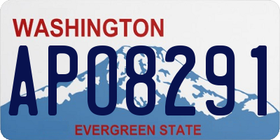 WA license plate APO8291