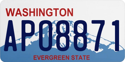 WA license plate APO8871