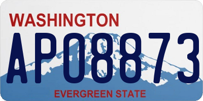 WA license plate APO8873