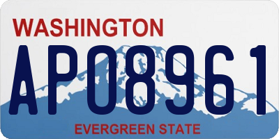 WA license plate APO8961