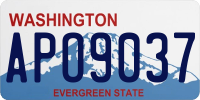 WA license plate APO9037