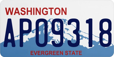 WA license plate APO9318