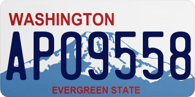 WA license plate APO9558